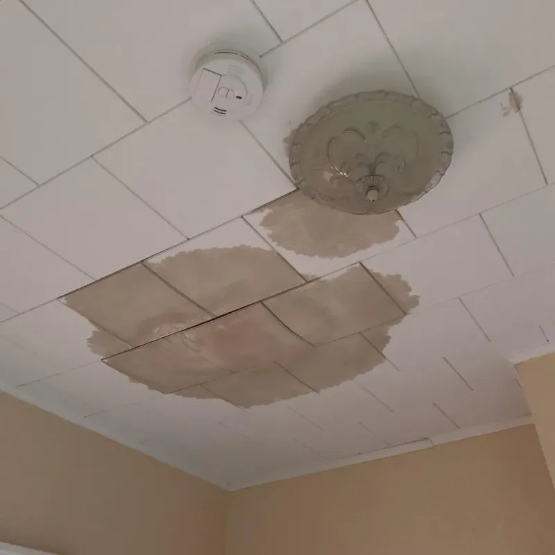 Ceiling Water Damage Repair in West Coon Rapids, MN