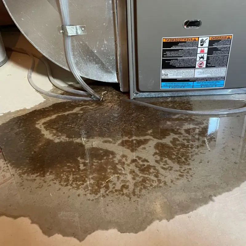 Pipe Burst and Leak Restoration in West Coon Rapids, MN