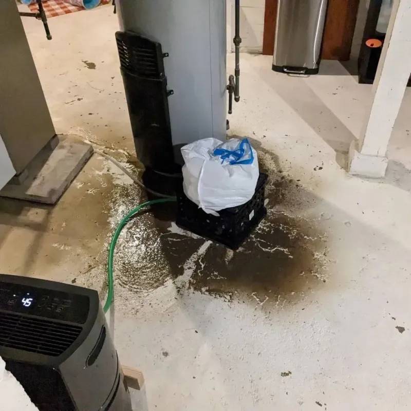 Sewage Backup Cleanup Service in West Coon Rapids, MN